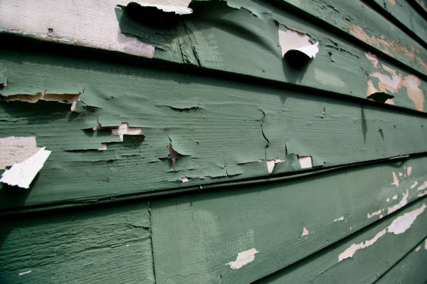 Trusted Parchment, MI Junk Removal Experts