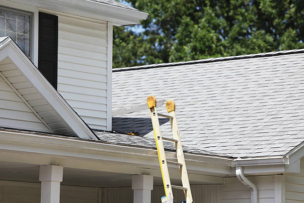 Best Hoarding Cleanup  in Parchment, MI